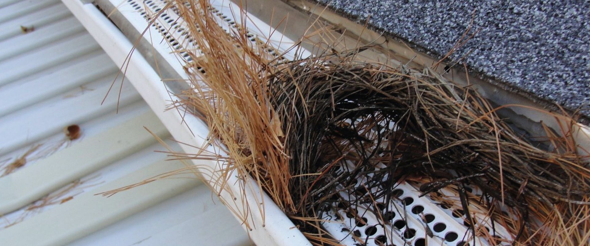 Replacing Damaged or Clogged Downspouts: A Comprehensive Guide