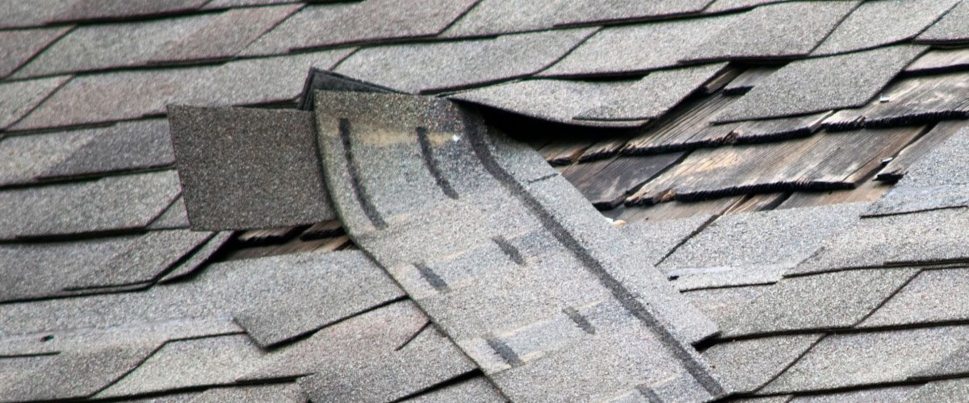 Replacing Damaged Shingles: What You Need to Know