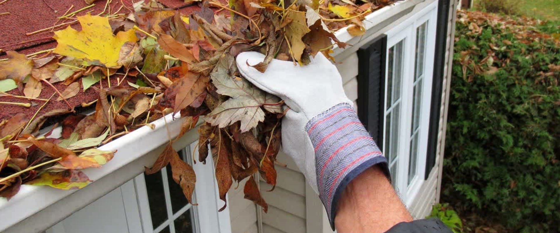 Trimming Trees Near Roof: Essential Tips for Roof Maintenance