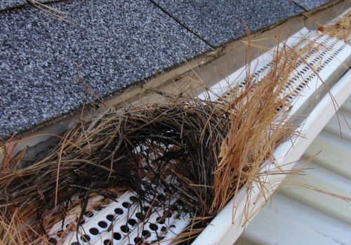 Replacing Damaged or Clogged Downspouts: A Comprehensive Guide